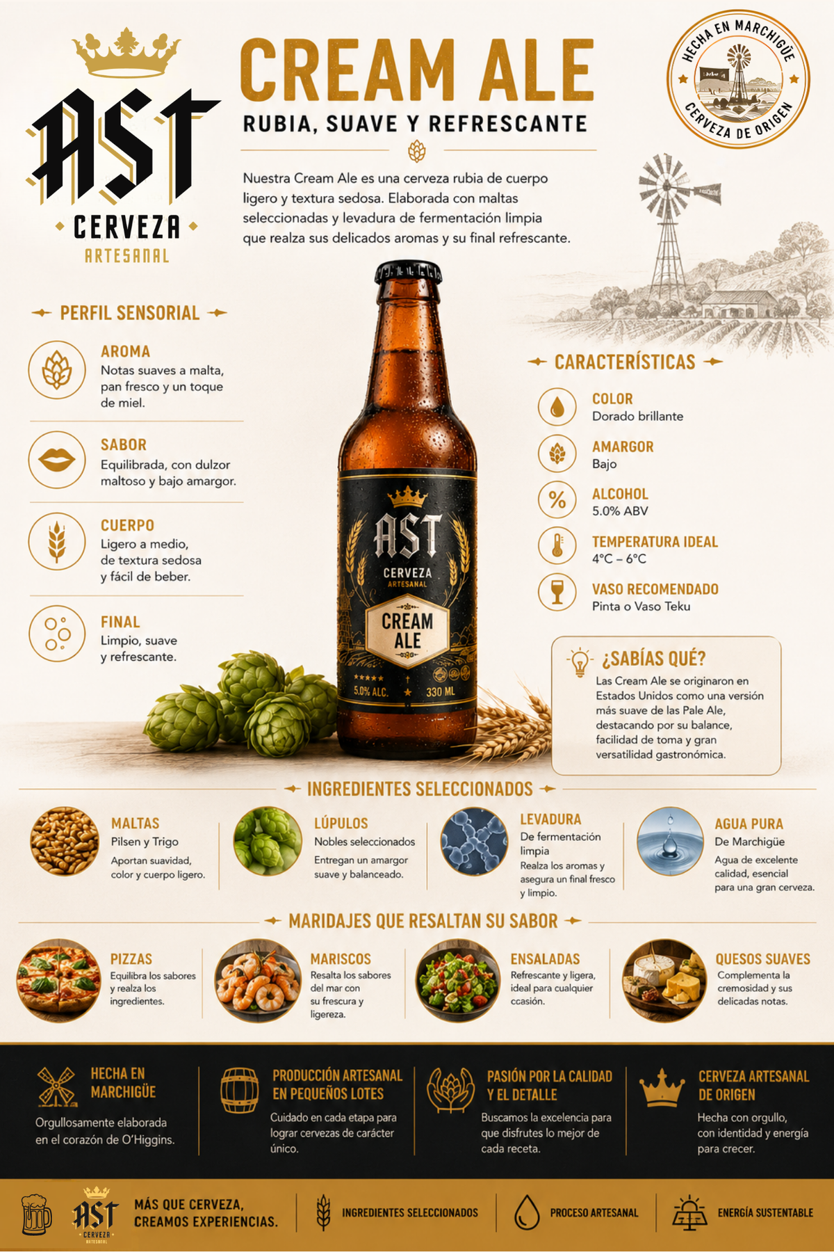 Cream Ale Pack x 4 · Suave desde el primer sorbo.