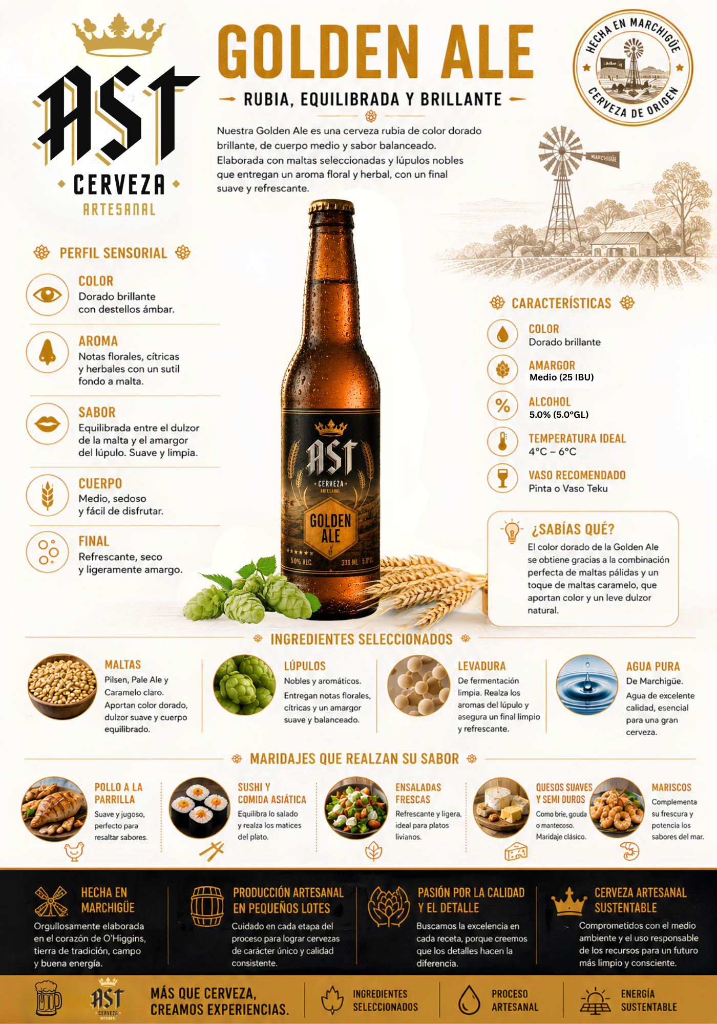 Promoción 12 Golden Ale 330cc.