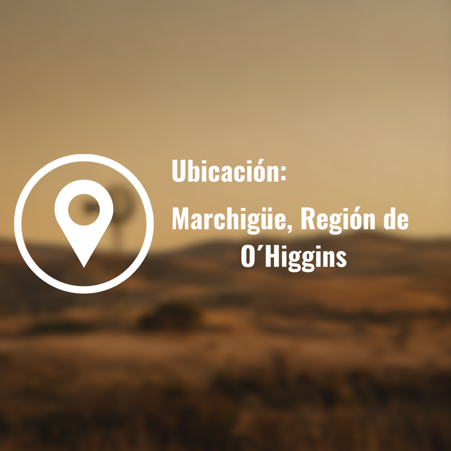 Imagen de contacto